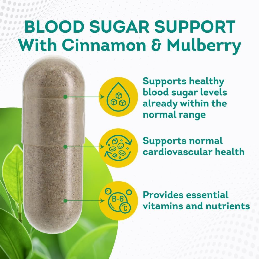 5 Blood Sugar Support - 5 Bottles 300 Capsules